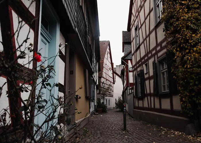 公寓 Stilvoll In Frankfurt Hoechst - Feeling At *